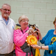 238 Maisie with Mrs C Lomax (Owner), Mr J Harrison (Judge) and Miss J Tonkinson (Show Manager)